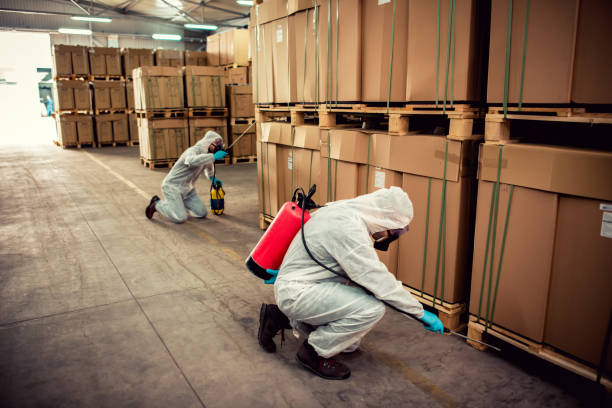 Best Best Pest Control Near Me  in Frent Hills, MO