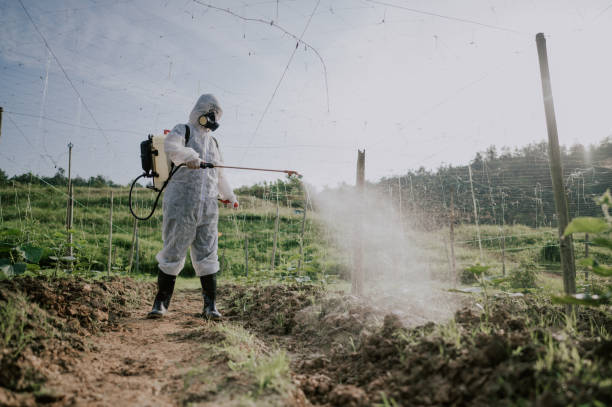 Best Ant Control Services  in Frent Hills, MO