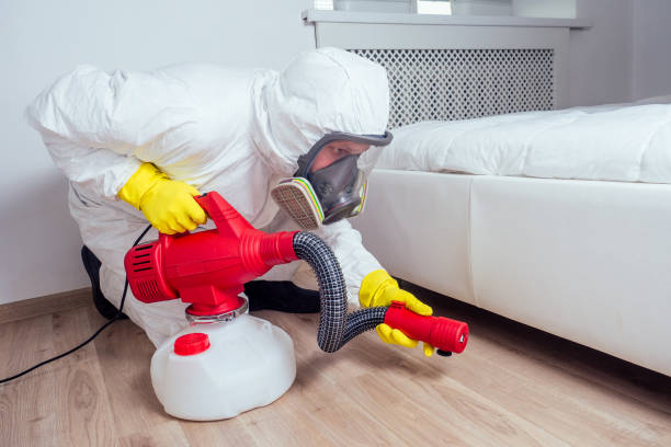 Best Pest Control Near Me in Fremont Hills, MO