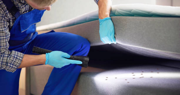 Trusted Fremont Hills, MO Pest Control Experts