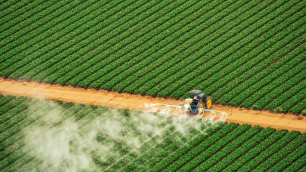 Best Best Pest Control Companies  in Frent Hills, MO