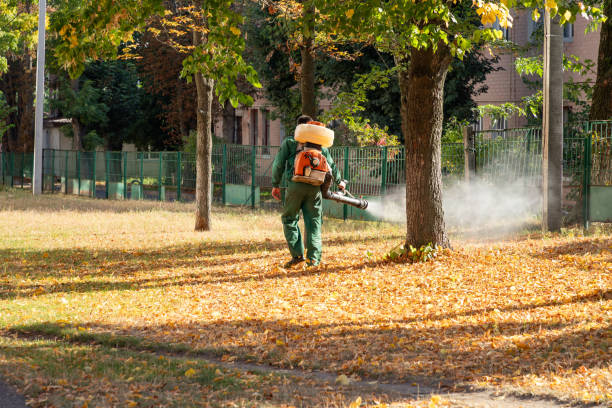 Best Pest Control Near Me in Fremont Hills, MO