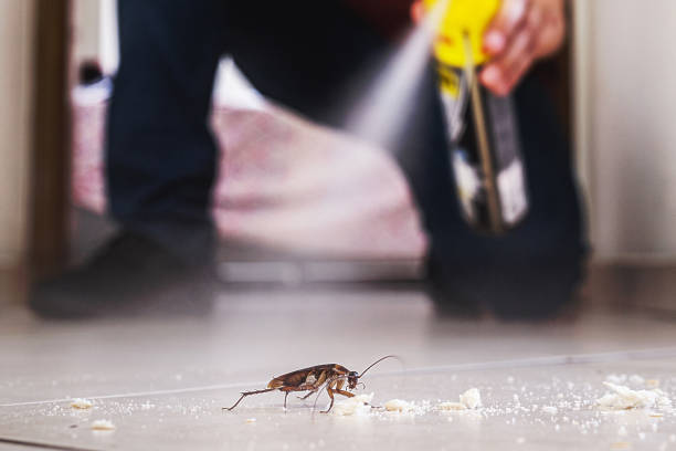 Best Pest Inspection Near Me  in Frent Hills, MO