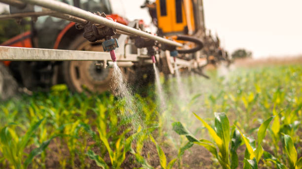 Best Commercial Pest Control Services  in Frent Hills, MO