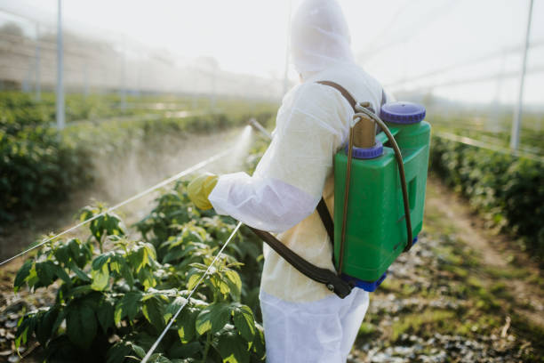 Best Affordable Pest Control Services  in Frent Hills, MO